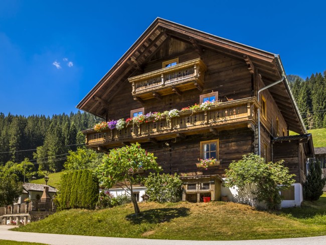 Sommerurlaub im Ferienhaus Holzenhof in Großarl