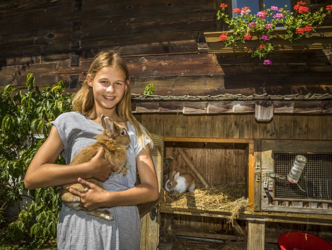 Tiere zum Streicheln