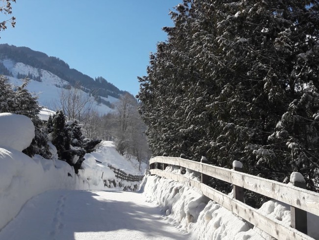 Gut markierte Winterwanderwege